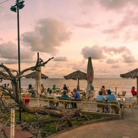 公寓 Madeira Ak5 丰沙尔